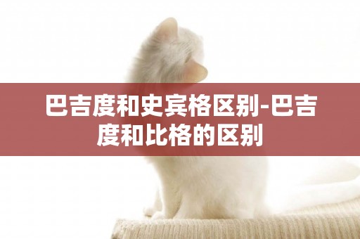 巴吉度和史賓格區別-巴吉度和比格的區別