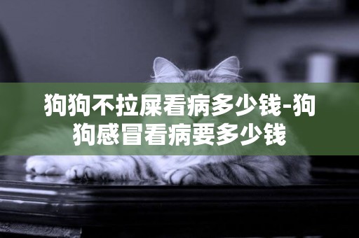 狗狗不拉屎看病多少錢-狗狗感冒看病要多少錢