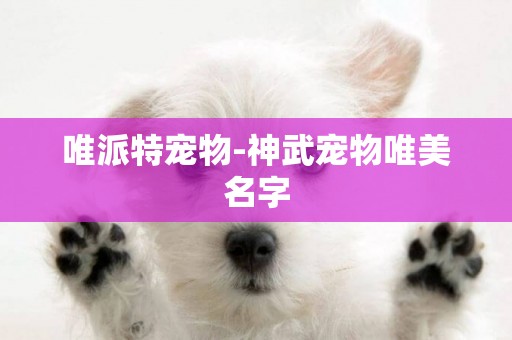 唯派特寵物-神武寵物唯美名字