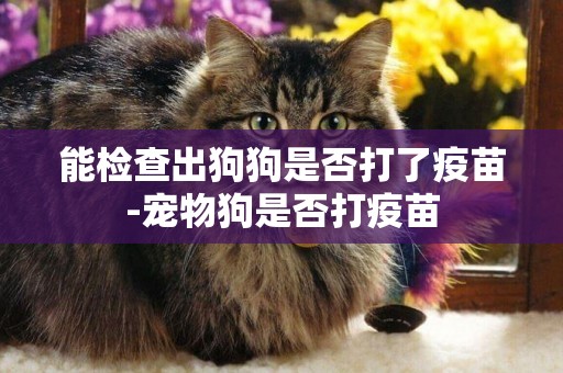 能檢查出狗狗是否打了疫苗-寵物狗是否打疫苗