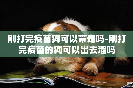 剛打完疫苗狗可以帶走嗎-剛打完疫苗的狗可以出去溜嗎