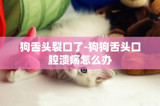 狗舌頭裂口了-狗狗舌頭口腔潰瘍怎么辦