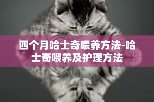 四個月哈士奇喂養方法-哈士奇喂養及護理方法