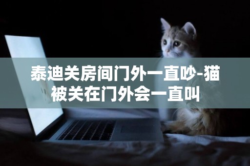 泰迪關房間門外一直吵-貓被關在門外會一直叫