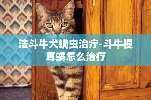 法斗牛犬螨蟲治療-斗牛梗耳螨怎么治療
