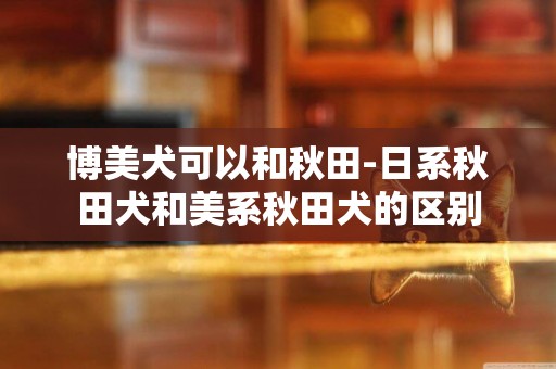 博美犬可以和秋田-日系秋田犬和美系秋田犬的區別
