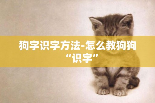 狗字識字方法-怎么教狗狗“識字”