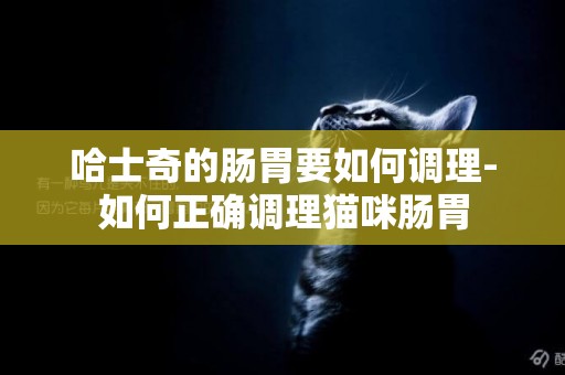 哈士奇的腸胃要如何調理-如何正確調理貓咪腸胃