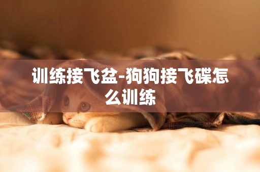訓練接飛盆-狗狗接飛碟怎么訓練