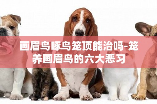 畫眉鳥啄鳥籠頂能治嗎-籠養畫眉鳥的六大惡習