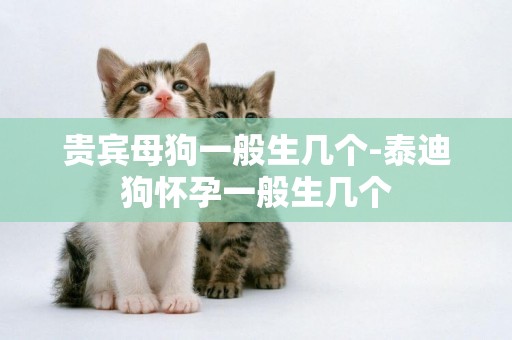 貴賓母狗一般生幾個-泰迪狗懷孕一般生幾個
