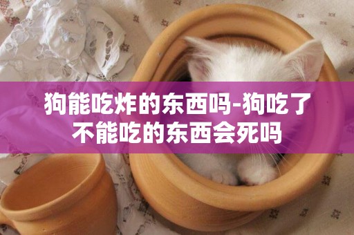狗能吃炸的東西嗎-狗吃了不能吃的東西會死嗎