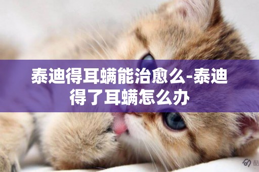泰迪得耳螨能治愈么-泰迪得了耳螨怎么辦