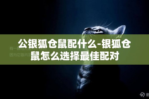 公銀狐倉鼠配什么-銀狐倉鼠怎么選擇最佳配對