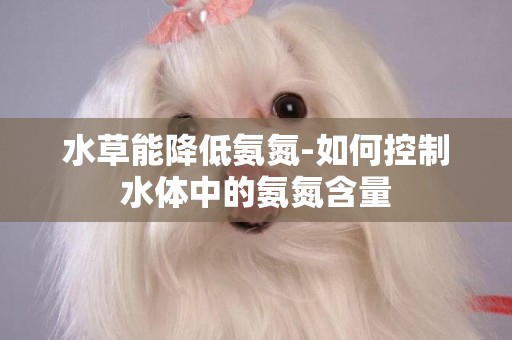 水草能降低氨氮-如何控制水體中的氨氮含量