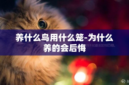 養什么鳥用什么籠-為什么養的會后悔