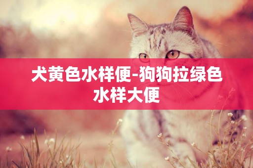 犬黃色水樣便-狗狗拉綠色水樣大便