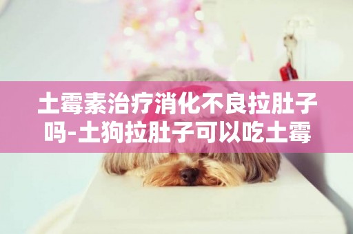 土霉素治療消化不良拉肚子嗎-土狗拉肚子可以吃土霉素嗎