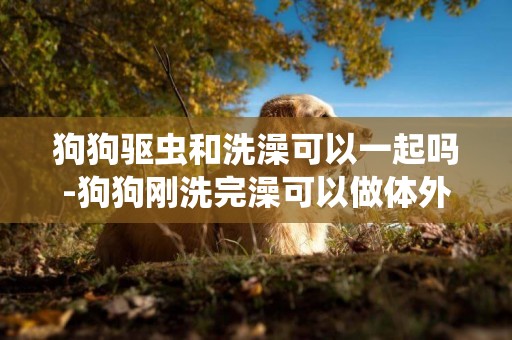 狗狗驅蟲和洗澡可以一起嗎-狗狗剛洗完澡可以做體外驅蟲嗎