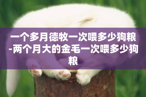 一個多月德牧一次喂多少狗糧-兩個月大的金毛一次喂多少狗糧