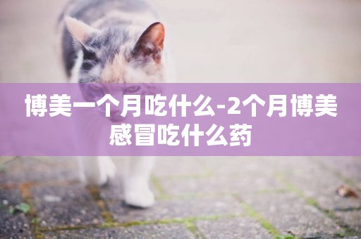 博美一個月吃什么-2個月博美感冒吃什么藥
