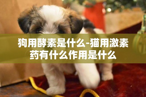 狗用酵素是什么-貓用激素藥有什么作用是什么