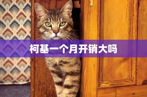 柯基一個月開銷大嗎