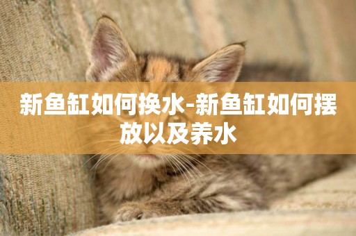 新魚缸如何換水-新魚缸如何擺放以及養水