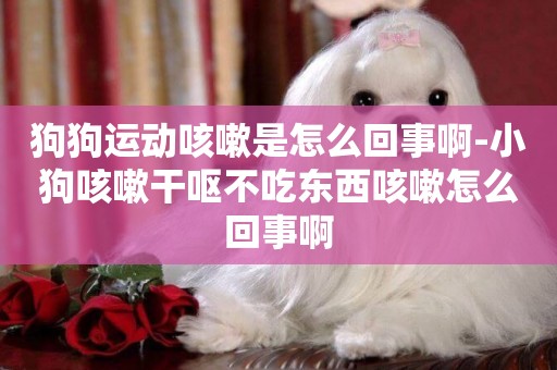 狗狗運動咳嗽是怎么回事啊-小狗咳嗽干嘔不吃東西咳嗽怎么回事啊
