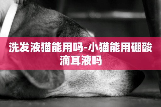洗發液貓能用嗎-小貓能用硼酸滴耳液嗎