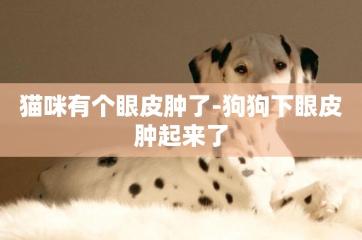 貓咪有個眼皮腫了-狗狗下眼皮腫起來了