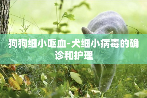狗狗細小嘔血-犬細小病毒的確診和護理
