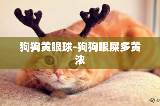 狗狗黃眼球-狗狗眼屎多黃濃