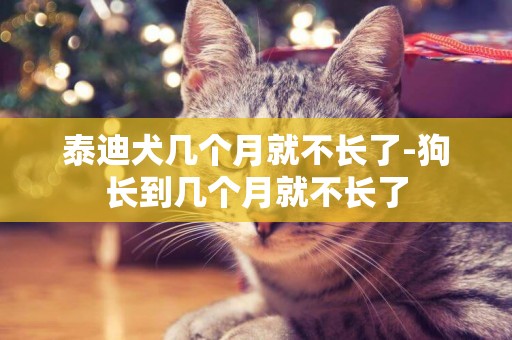 泰迪犬幾個月就不長了-狗長到幾個月就不長了