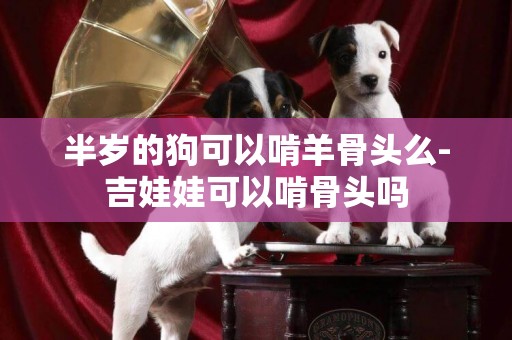 半歲的狗可以啃羊骨頭么-吉娃娃可以啃骨頭嗎