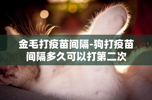 金毛打疫苗間隔-狗打疫苗間隔多久可以打第二次