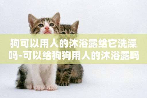 狗可以用人的沐浴露給它洗澡嗎-可以給狗狗用人的沐浴露嗎