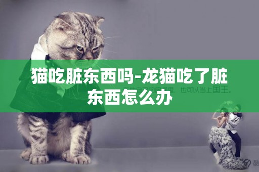 貓吃臟東西嗎-龍貓吃了臟東西怎么辦