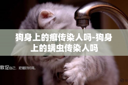 狗身上的癬傳染人嗎-狗身上的螨蟲傳染人嗎