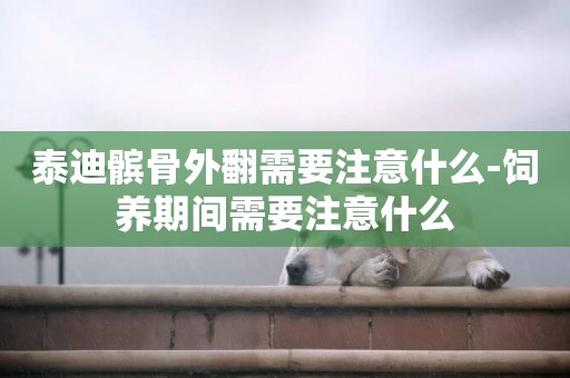 泰迪髕骨外翻需要注意什么-飼養期間需要注意什么
