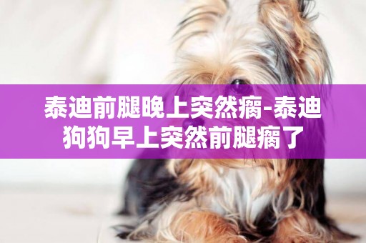 泰迪前腿晚上突然瘸-泰迪狗狗早上突然前腿瘸了