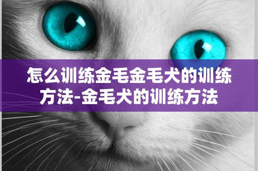 怎么訓練金毛金毛犬的訓練方法-金毛犬的訓練方法