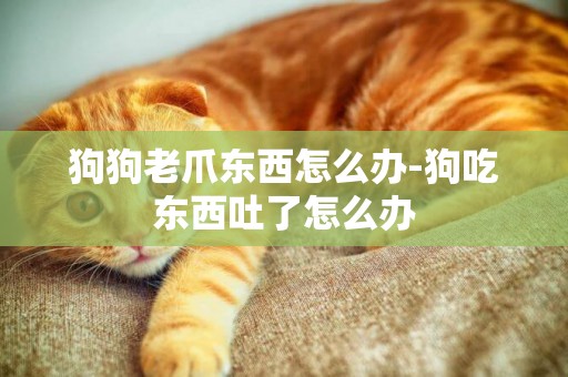 狗狗老爪東西怎么辦-狗吃東西吐了怎么辦