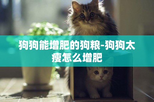 狗狗能增肥的狗糧-狗狗太瘦怎么增肥
