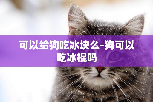 可以給狗吃冰塊么-狗可以吃冰棍嗎