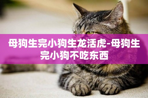 母狗生完小狗生龍活虎-母狗生完小狗不吃東西