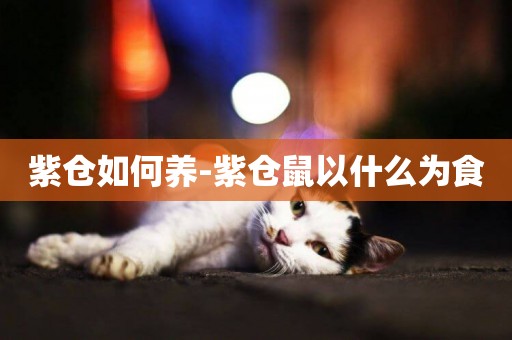 紫倉如何養-紫倉鼠以什么為食