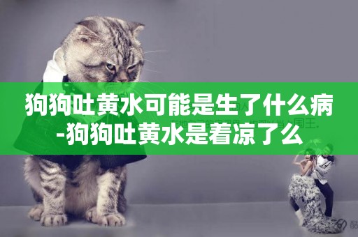 狗狗吐黃水可能是生了什么病-狗狗吐黃水是著涼了么