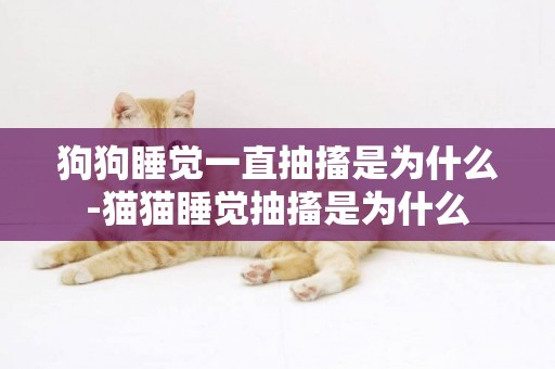 狗狗睡覺一直抽搐是為什么-貓貓睡覺抽搐是為什么