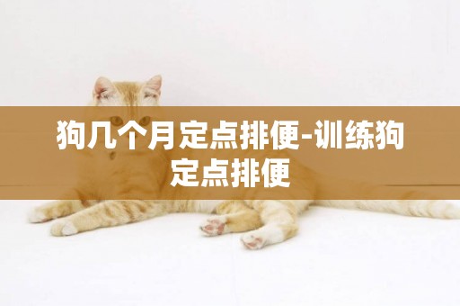 狗幾個月定點排便-訓練狗定點排便